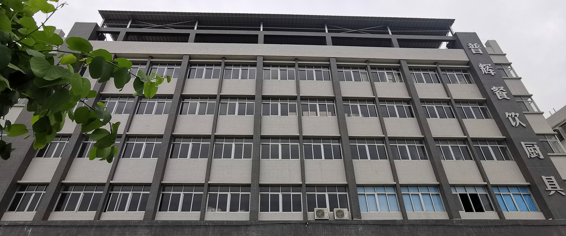 Guangdong Buphex factory building