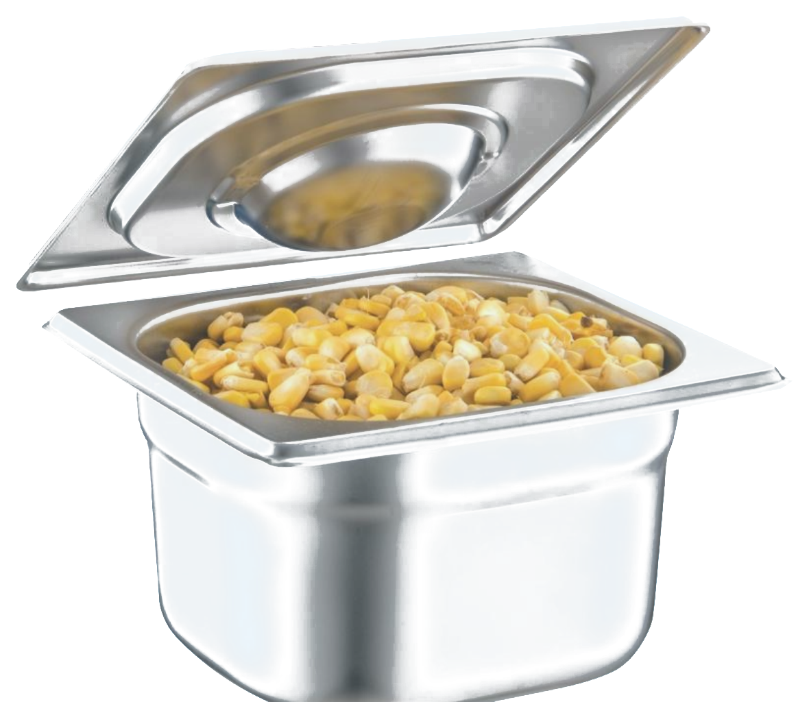 Europe gastronorm pan with lid